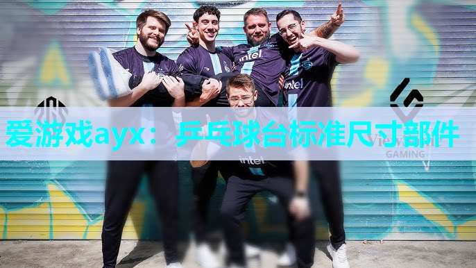 爱游戏ayx：乒乓球台标准尺寸部件