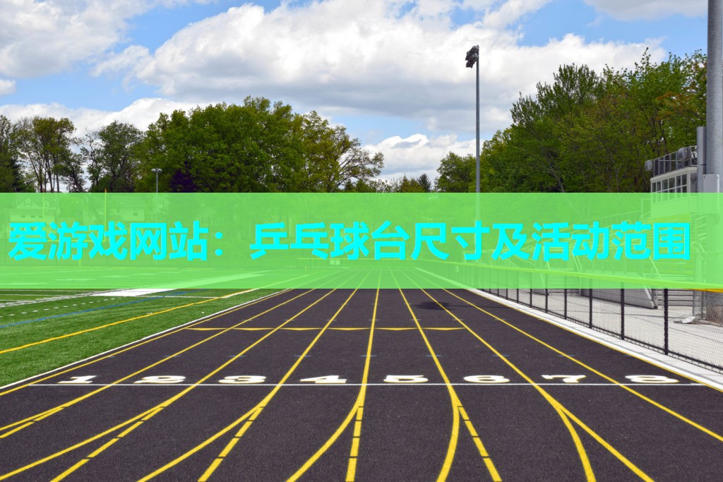 爱游戏网站：乒乓球台尺寸及活动范围