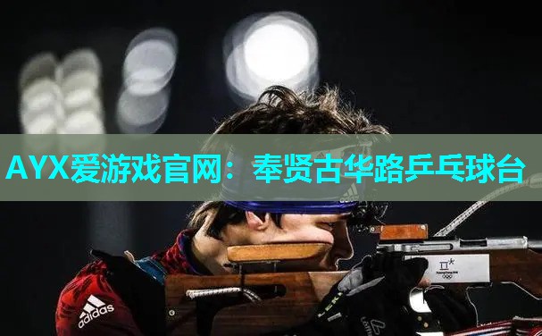 AYX爱游戏官网：奉贤古华路乒乓球台