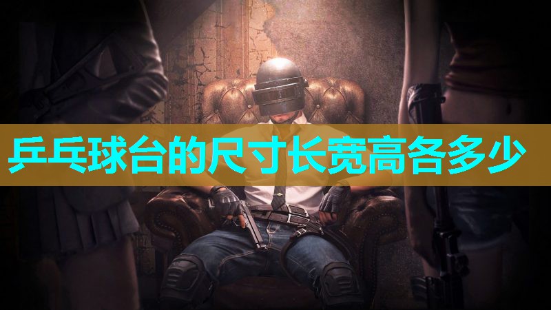 乒乓球台的尺寸长宽高各多少