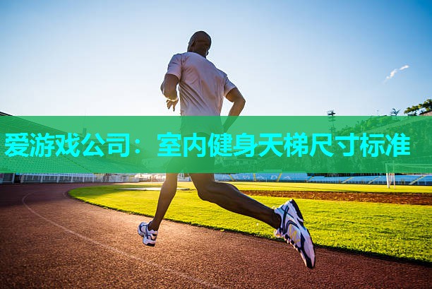 爱游戏公司：室内健身天梯尺寸标准