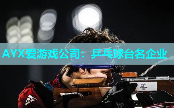 AYX爱游戏公司：乒乓球台名企业