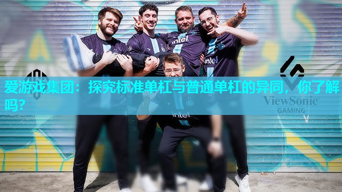 爱游戏集团：探究标准单杠与普通单杠的异同，你了解吗？