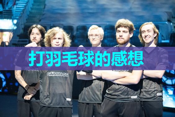 打羽毛球的感想
