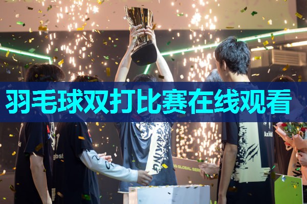 羽毛球双打比赛在线观看