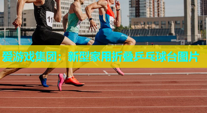 爱游戏集团：新型家用折叠乒乓球台图片
