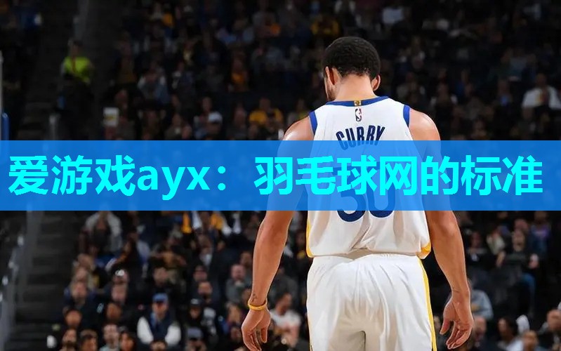 爱游戏ayx：羽毛球网的标准