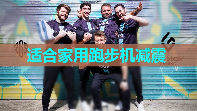 适合家用跑步机减震