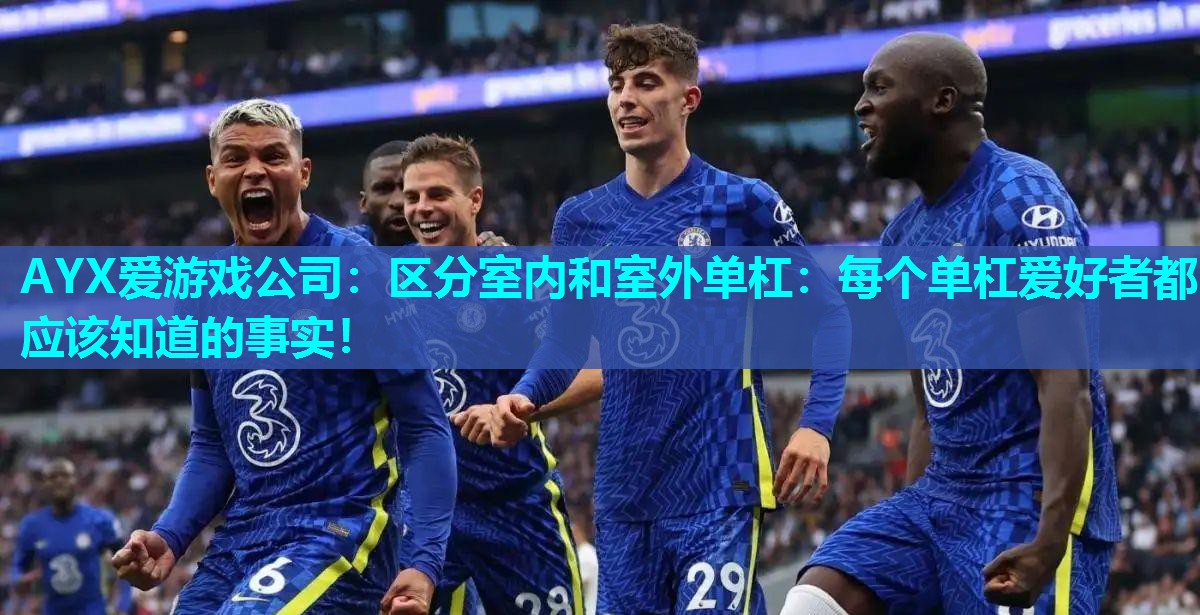 AYX爱游戏公司：区分室内和室外单杠：每个单杠爱好者都应该知道的事实！