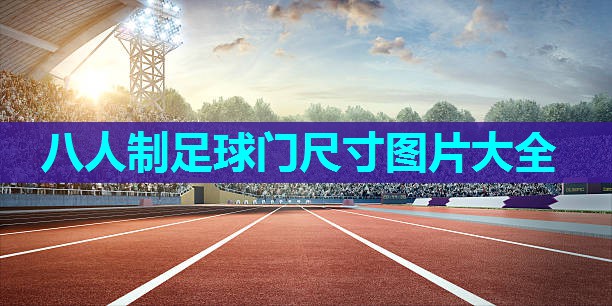 八人制足球门尺寸图片大全