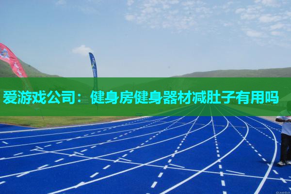 爱游戏公司：健身房健身器材减肚子有用吗