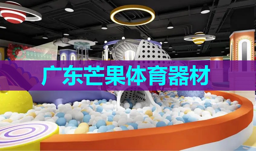 广东芒果体育器材