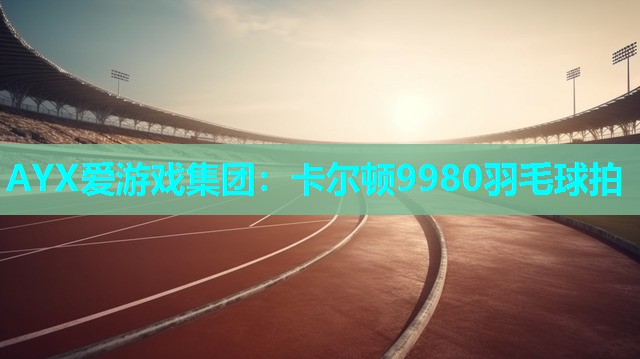 AYX爱游戏集团：卡尔顿9980羽毛球拍