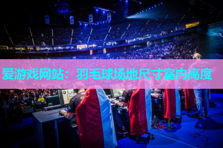 爱游戏网站：羽毛球场地尺寸室内高度