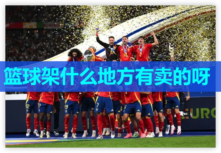 篮球架什么地方有卖的呀