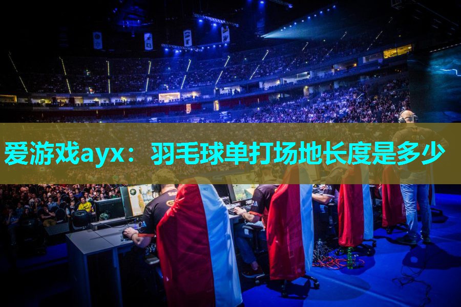 爱游戏ayx：羽毛球单打场地长度是多少