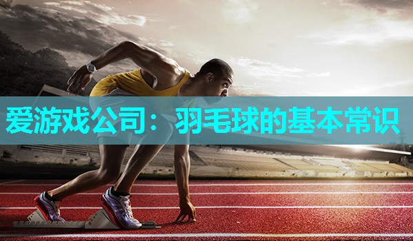 爱游戏公司：羽毛球的基本常识