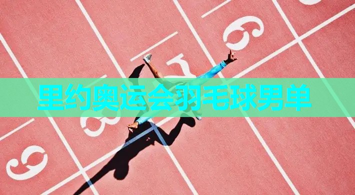 里约奥运会羽毛球男单