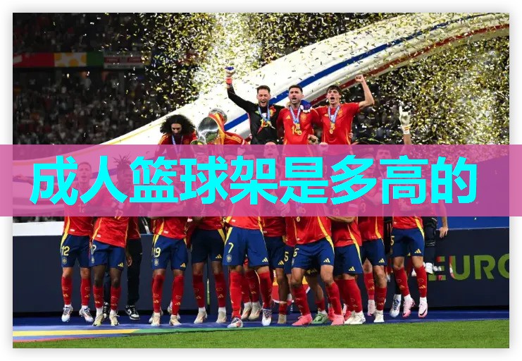 成人篮球架是多高的