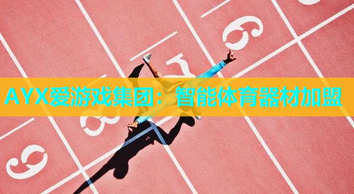 AYX爱游戏集团：智能体育器材加盟