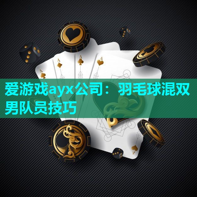 爱游戏ayx公司：羽毛球混双男队员技巧