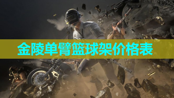 金陵单臂篮球架价格表