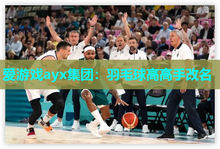 爱游戏ayx集团：羽毛球高高手改名