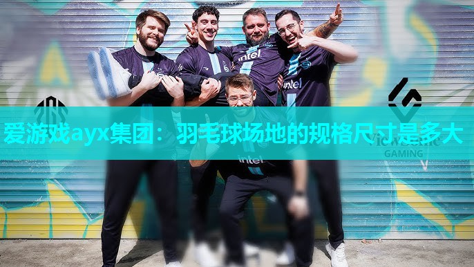 爱游戏ayx集团：羽毛球场地的规格尺寸是多大