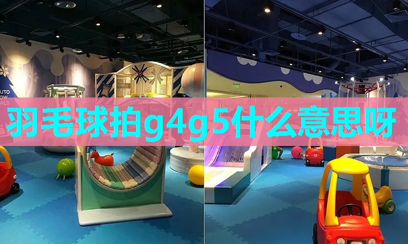羽毛球拍g4g5什么意思呀