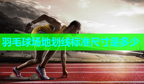 羽毛球场地划线标准尺寸是多少
