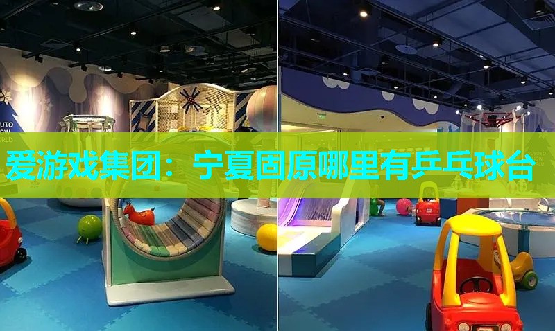 宁夏固原哪里有乒乓球台 宁夏固原哪里有乒乓球台