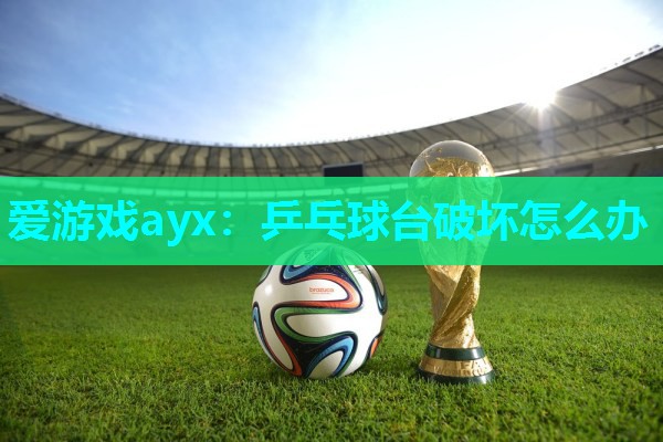 乒乓球台破坏怎么办 乒乓球台破坏怎么办
