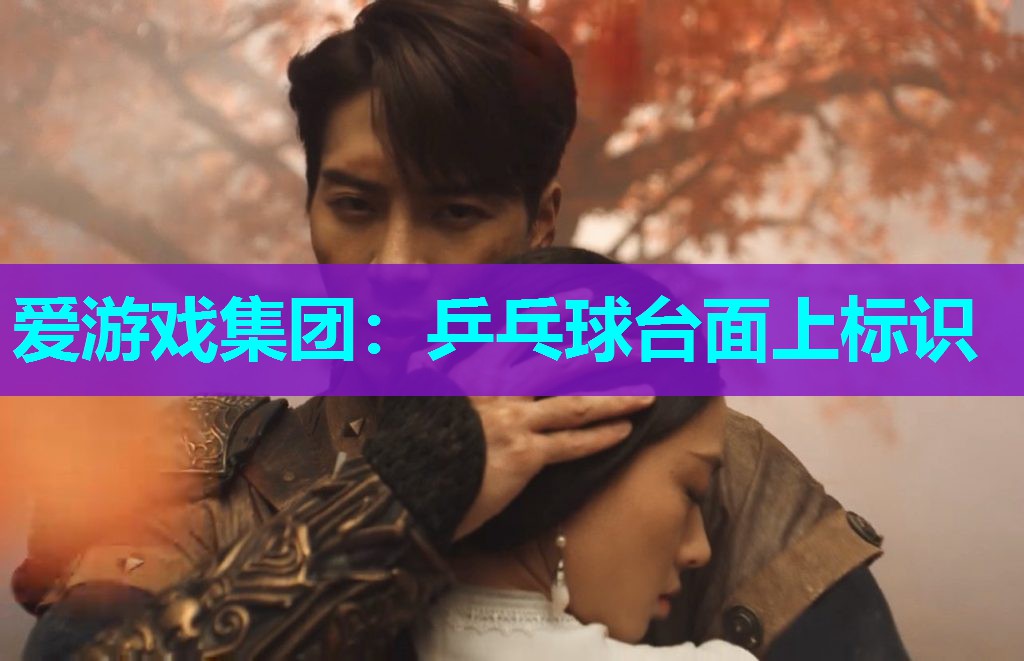 乒乓球台面上标识 乒乓球台面上标识