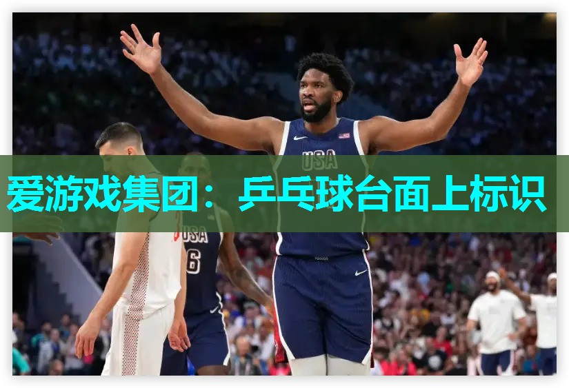乒乓球台面上标识 乒乓球台面上标识