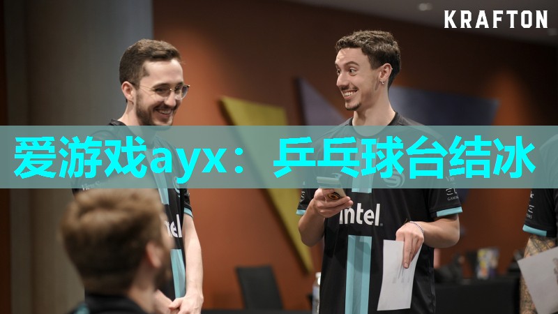 乒乓球台结冰 乒乓球台结冰