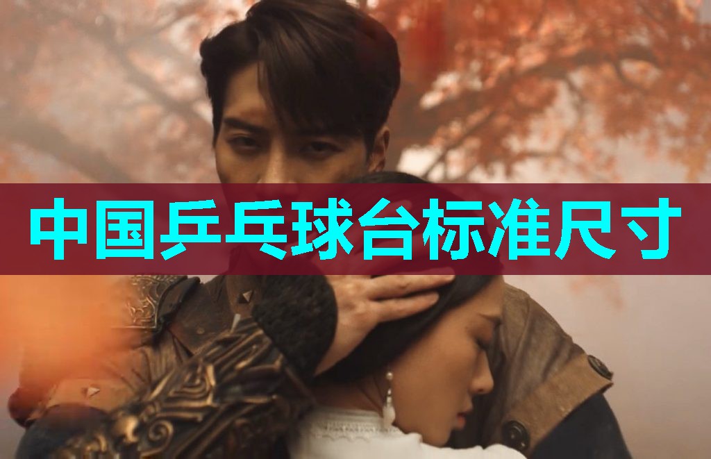 中国乒乓球台标准尺寸 中国乒乓球台标准尺寸