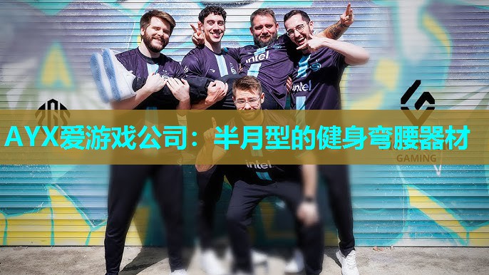 半月型的健身弯腰器材 半月型的健身弯腰器材