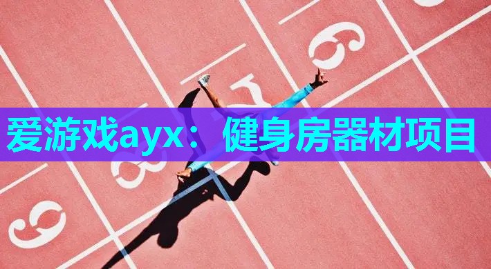 健身房器材项目 健身房器材项目
