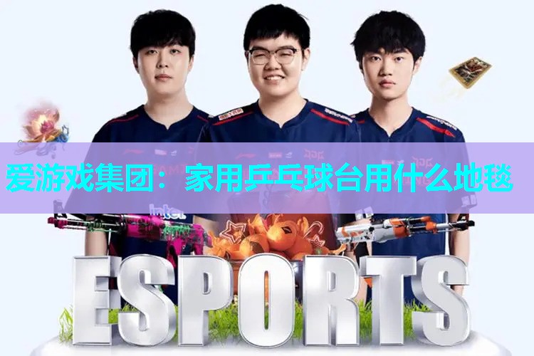 家用乒乓球台用什么地毯 家用乒乓球台用什么地毯