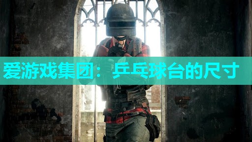 乒乓球台的尺寸 乒乓球台的尺寸