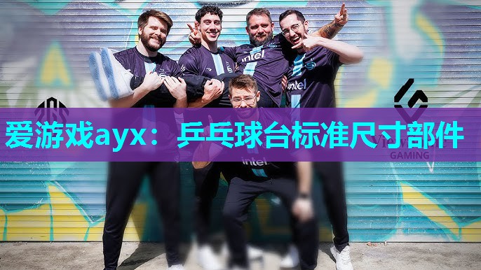 乒乓球台标准尺寸部件 乒乓球台标准尺寸部件