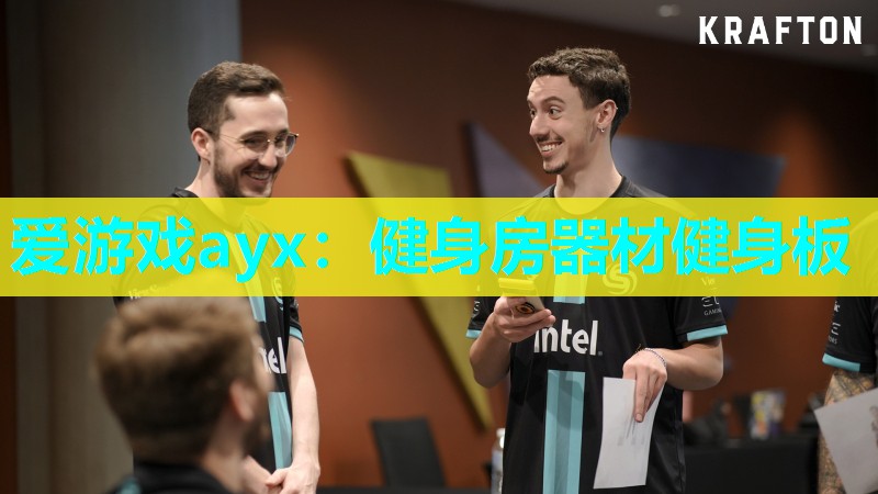 健身房器材健身板 健身房器材健身板