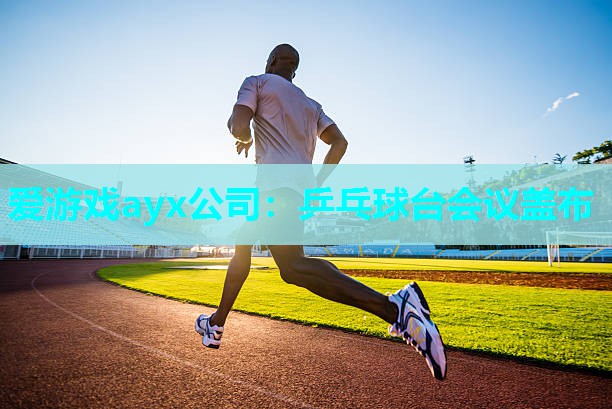 乒乓球台会议盖布 乒乓球台会议盖布