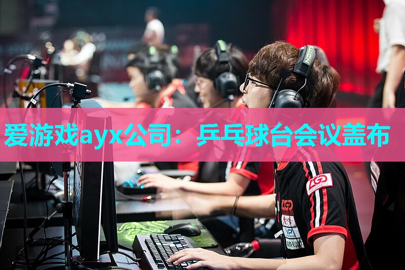 乒乓球台会议盖布 乒乓球台会议盖布