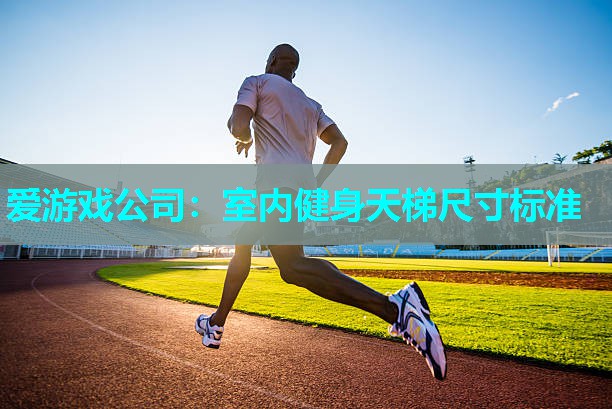 室内健身天梯尺寸标准 室内健身天梯尺寸标准