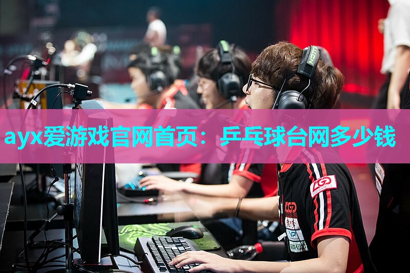 乒乓球台网多少钱 乒乓球台网多少钱