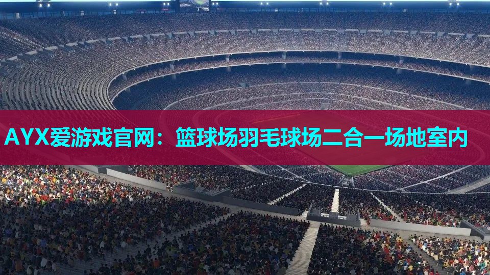 篮球场羽毛球场二合一场地室内 篮球场羽毛球场二合一场地室内