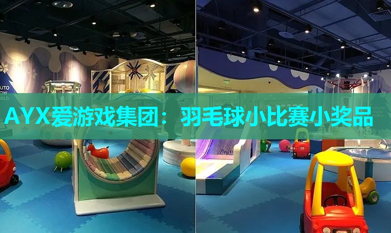 羽毛球小比赛小奖品 羽毛球小比赛小奖品