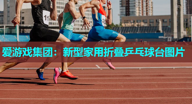 新型家用折叠乒乓球台图片 新型家用折叠乒乓球台图片
