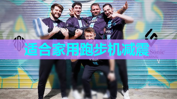 适合家用跑步机减震 适合家用跑步机减震